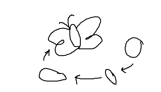 Butterfly Lifecycle Map